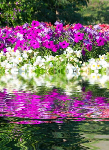 Wasserwellen Und Reflexionen Der Flora Auf Dem Wasser Mit Schönheit — Stockfoto