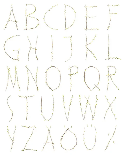 Letra Como Alfabeto Ramas Con Hojas Verdes —  Fotos de Stock