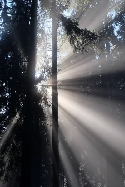 Harz Mittelgebirge Que Tem Mais Altas Elevações Norte Alemanha — Fotografia de Stock