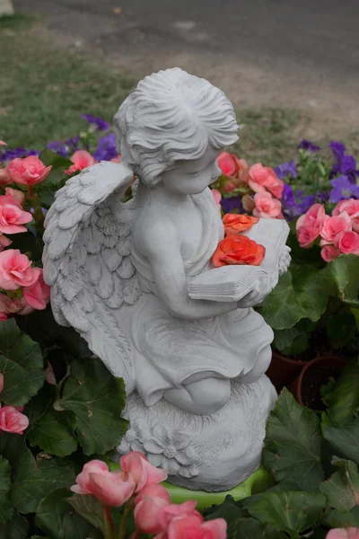 Pequeño Cupido Estaba Leyendo Libro Rodeado Por Las Hermosas Flores — Foto de Stock