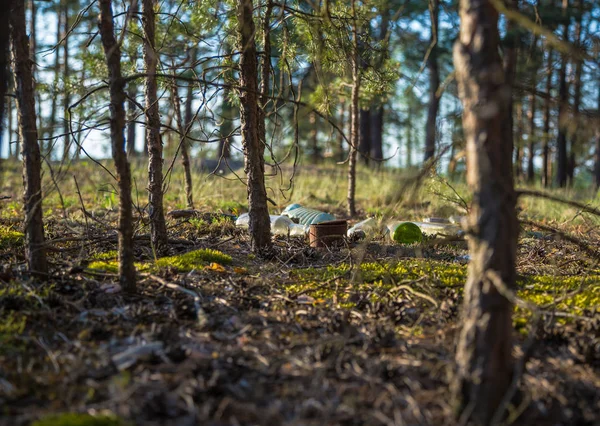 Des Ordures Jetées Dans Les Bois Vue Travers Les Arbres — Photo