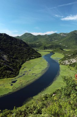 the river Rijeka Crnojevica at the west end of the Skadarsko Jezero Lake or Skadar Lake in Montenegro in the balkan in east europe. clipart