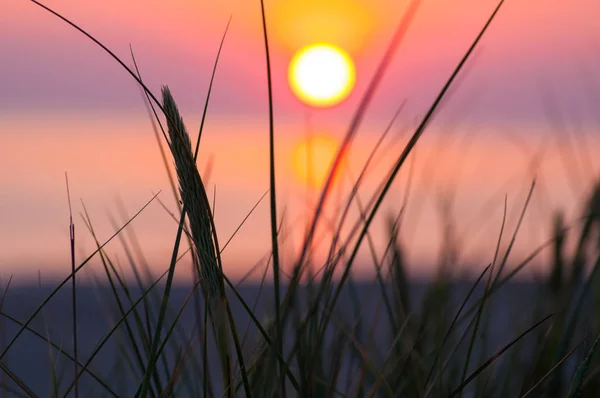 Cor Intenso Pôr Sol Costa Norte Mar Denmark — Fotografia de Stock