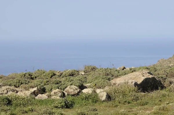 Στα Βουνά Ayaches Lanzarote — Φωτογραφία Αρχείου