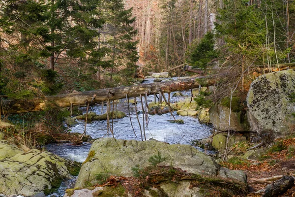 Parque Nacional Harz Ilsetal Ilsetal Queda — Fotografia de Stock