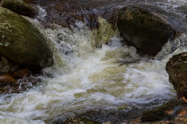 Park Narodowy Harz Ilsetal — Zdjęcie stockowe