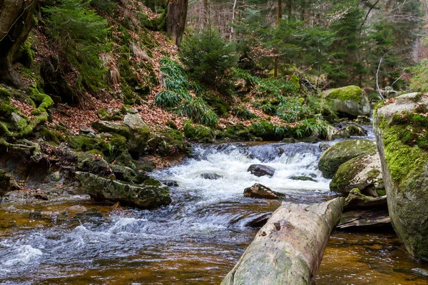 Nationaal Park Harz Ilsetal — Stockfoto