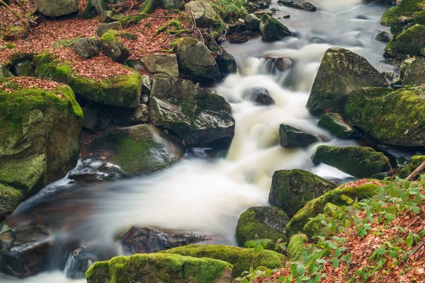 National Park Harz Ilsetal — 图库照片