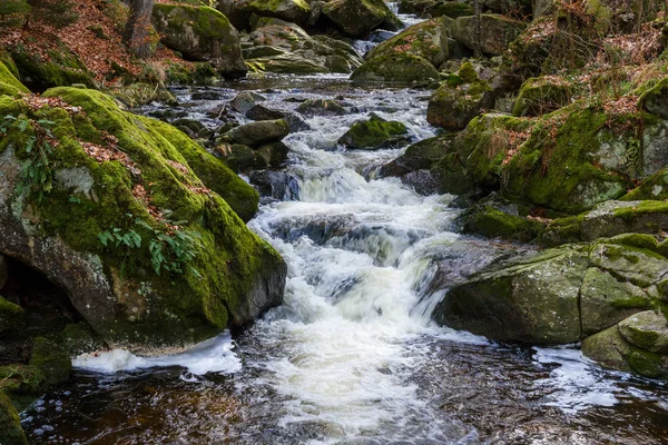 Εθνικό Πάρκο Harz Ilsetal — Φωτογραφία Αρχείου