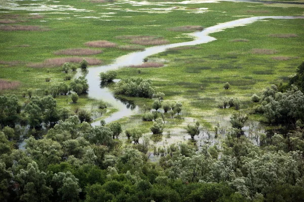 Ποταμός Ριέκα Τσρνογιέβιτσα Στο Δυτικό Άκρο Της Λίμνης Σκάναρσκο Γιμηδέν — Φωτογραφία Αρχείου