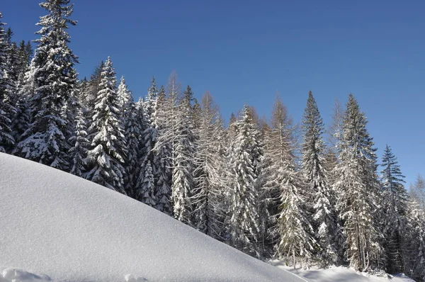 Italien Sydtyrolen Dolomiter Sextio Sextio Dolomiter Hjälm San Candido Vintersport — Stockfoto