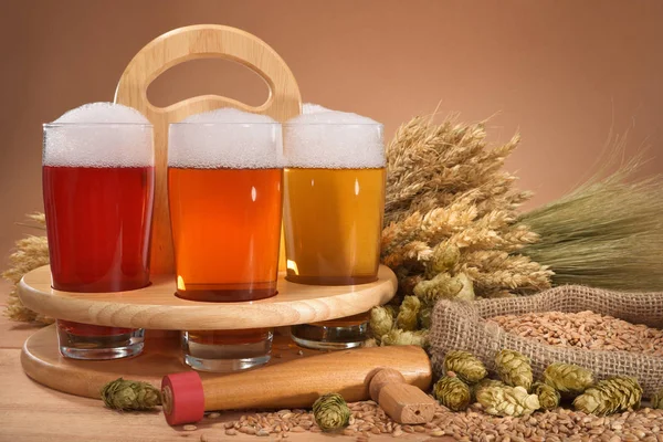 啤酒和啤酒杯 配上小麦 啤酒花和麦芽 — 图库照片