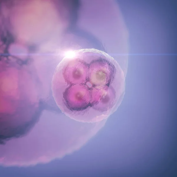 Zellteilung Menschlicher Zellen Großaufnahme — Stockfoto