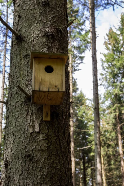 Uma Caixa Ninho Para Uma Árvore Floresta Uma Bela Casa — Fotografia de Stock