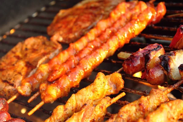 Braadworst Biefstuk Karbonades Kebab Geroosterd Houtskoolgrill — Stockfoto