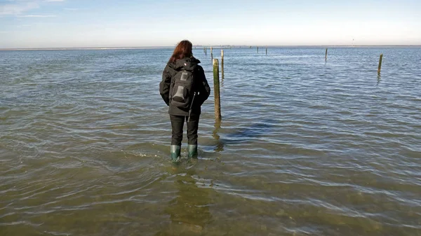 Donna Giacca Blu Piedi Sulla Spiaggia — Foto Stock