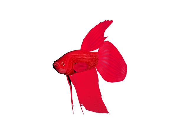 Röd Fisk Isolerad Vit Bakgrund — Stockfoto