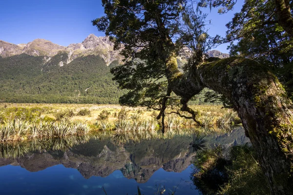 Зеркальное Озеро Вдоль Милфорд Роуд Милфорд Саунд Новая Зеландия Снято — стоковое фото
