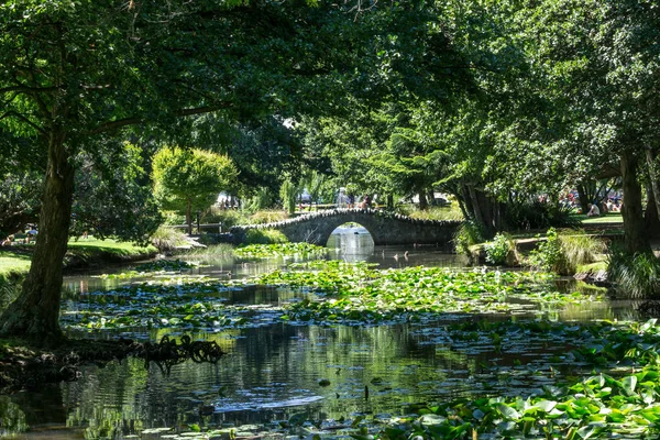 クイーンズタウン ガーデン ブリッジ夏ビューです 木や湖池光夏 — ストック写真