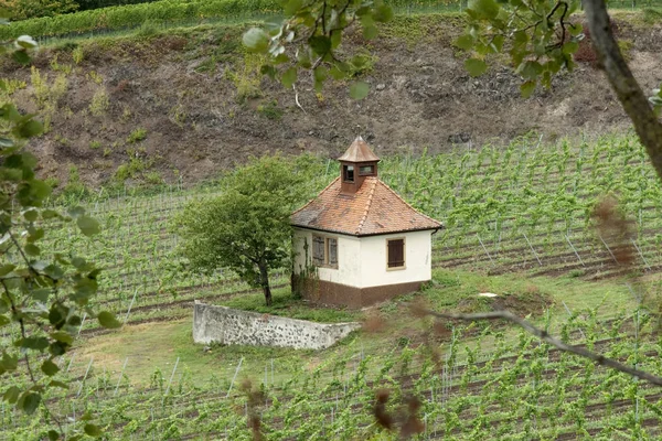 Vecchia Casa Legno Montagna — Foto Stock