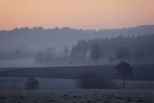 sunrise in the fog on the field,meadows and forests in the spring,fog and the erupting sun