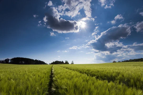 Bewegende Wolken Auf Einem Abgeernteten Feld Wandernde Schatten Feld Und — Stockfoto