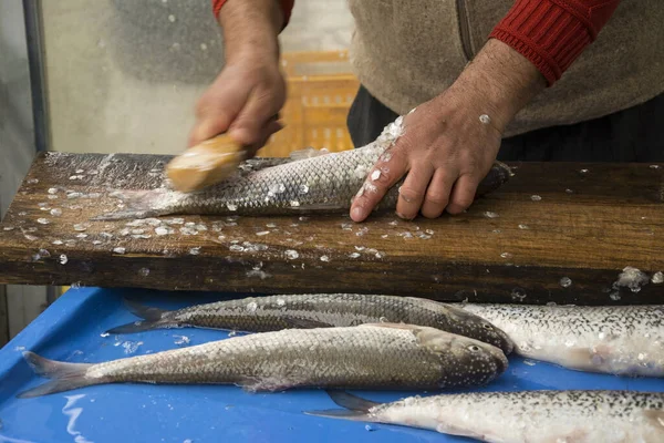 Pescador Removendo Escamas Peixe Mão — Fotografia de Stock