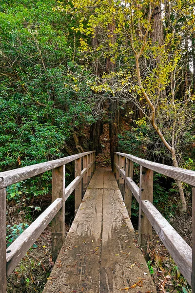 Kieruj Się Widok Drewnianego Mostu Prowadzącego Stronę Zacienionego Leśnego Szlaku — Zdjęcie stockowe