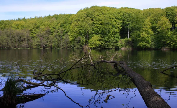 Λίμνη Herthasee Στο Εθνικό Πάρκο Του Jasmund — Φωτογραφία Αρχείου