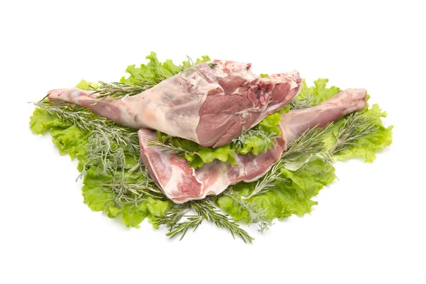 Lamb White Background — Stock Photo, Image