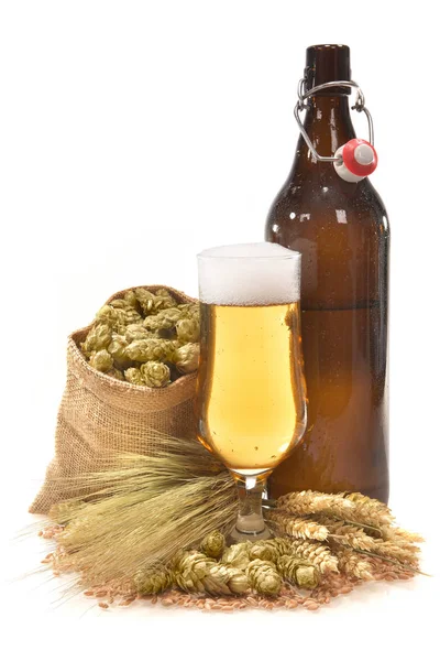 Xxl Beer Bottle Beer Glass Beer Barrel Wheat Barley Hops — Stockfoto