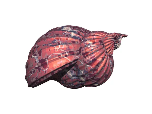 Deniz Salyangozunun Yuvası — Stok fotoğraf