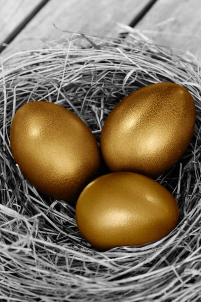 Three Golden Easter Eggs Nest — Stock Photo, Image