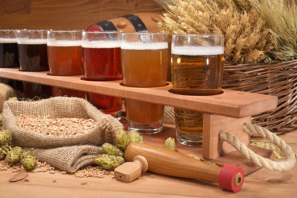 Beer Support Many Different Beers Wheat Barley Hops Malt — Stok fotoğraf