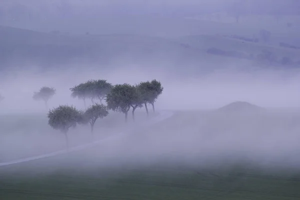 Sunrise in fog in the field,meadows and forests in spring,fog swaths and breaking sun