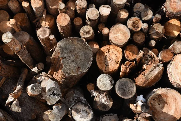 Vedtrave Trä Jordbruk Träd Trädstammar Stockar Påverkan Stack — Stockfoto