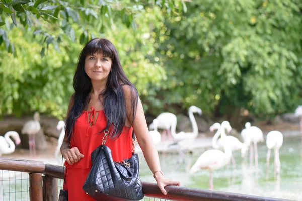 Una Buena Chica Posando Sonriendo Fondo Flamencos Pequeño Lago —  Fotos de Stock