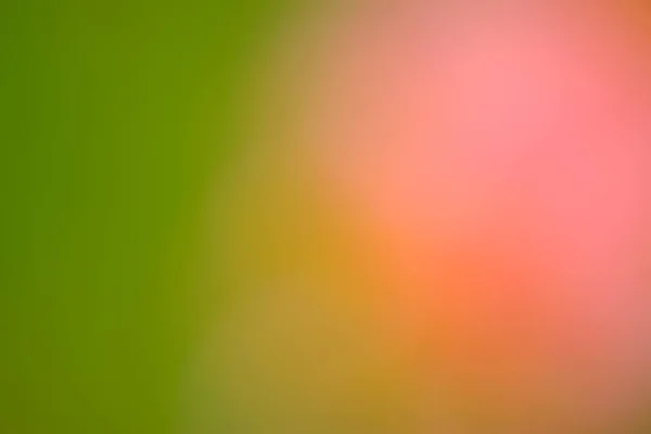 Flores Borrosas Para Una Combinación Colores Abstractos — Foto de Stock
