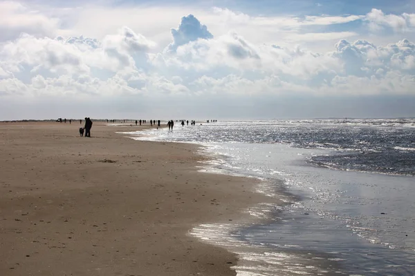 Carrinho Praia Mar Norte Denmark — Fotografia de Stock