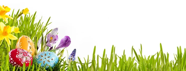 Colorful Horizontal Easter Egg Banner Spring Flowers Green Grassy Meadow — Stock Photo, Image