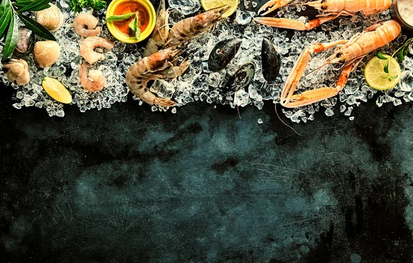 High Angle Seafood Cuisine Hintergrundbild Mit Frischen Schalentieren Garnelen Langostino — Stockfoto