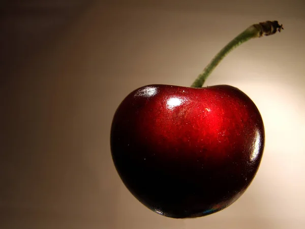 Vegetarisk Mat Selektivt Fokus — Stockfoto