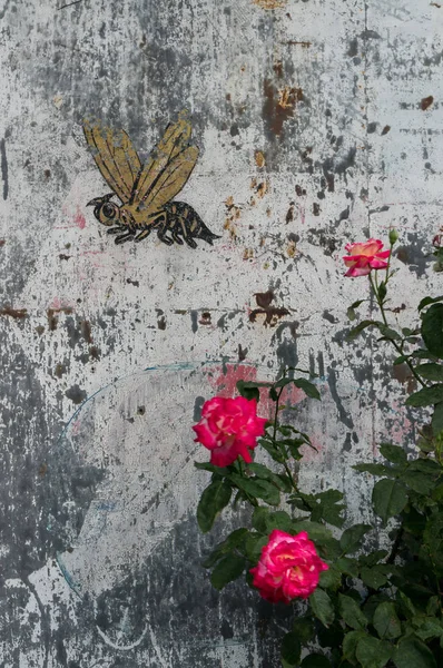 Una Abeja Grafitti Pared Rosas Cercanas Tomado Sapporo Japón — Foto de Stock