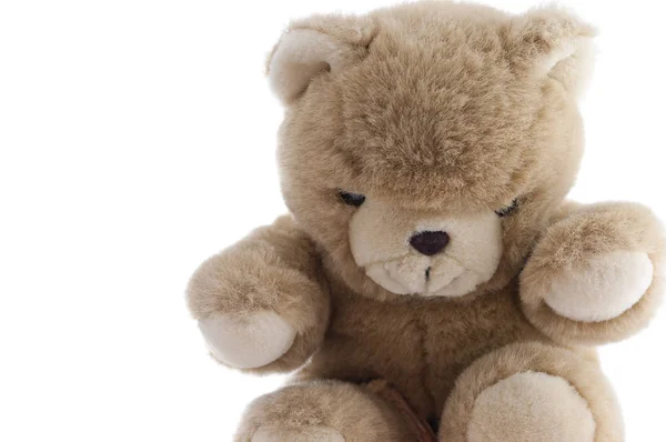 Teddy Bear Білому Тлі — стокове фото