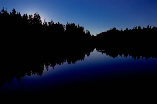 Bos Silhouet Weerspiegeld Een Meer — Stockfoto