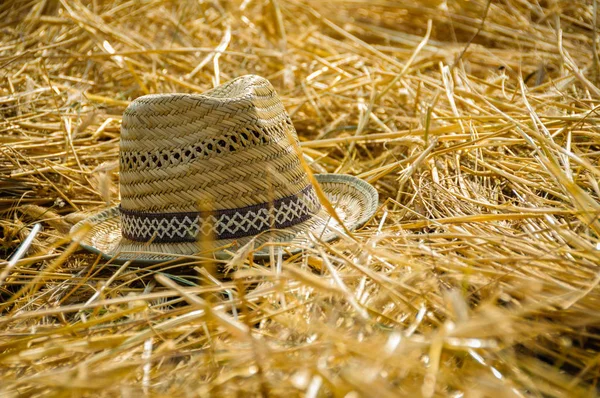 Pălărie Paie — Fotografie, imagine de stoc