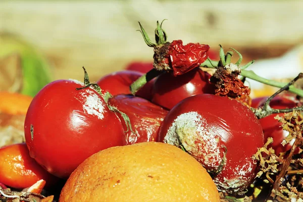 rotten fruit and vegetables on a garbage heap