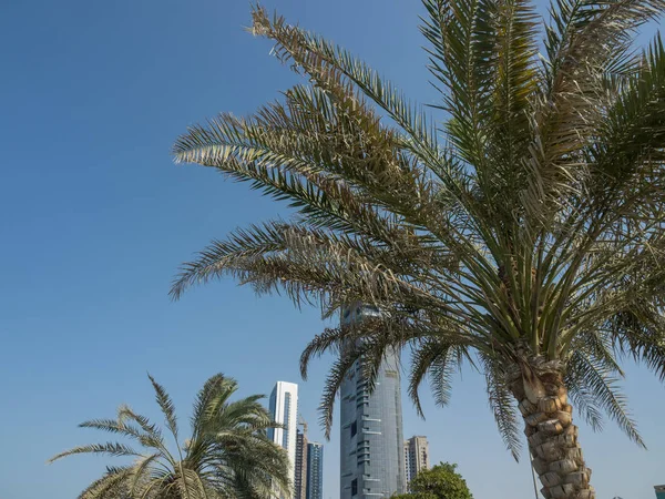 Strand Abu Dhabi — Stockfoto