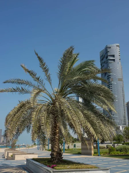 Strand Abu Dhabi — Stockfoto