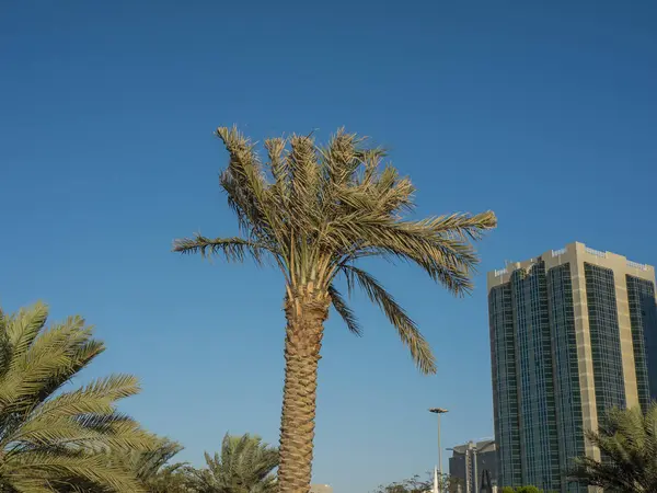 Strand Abu Dhabi — Stockfoto